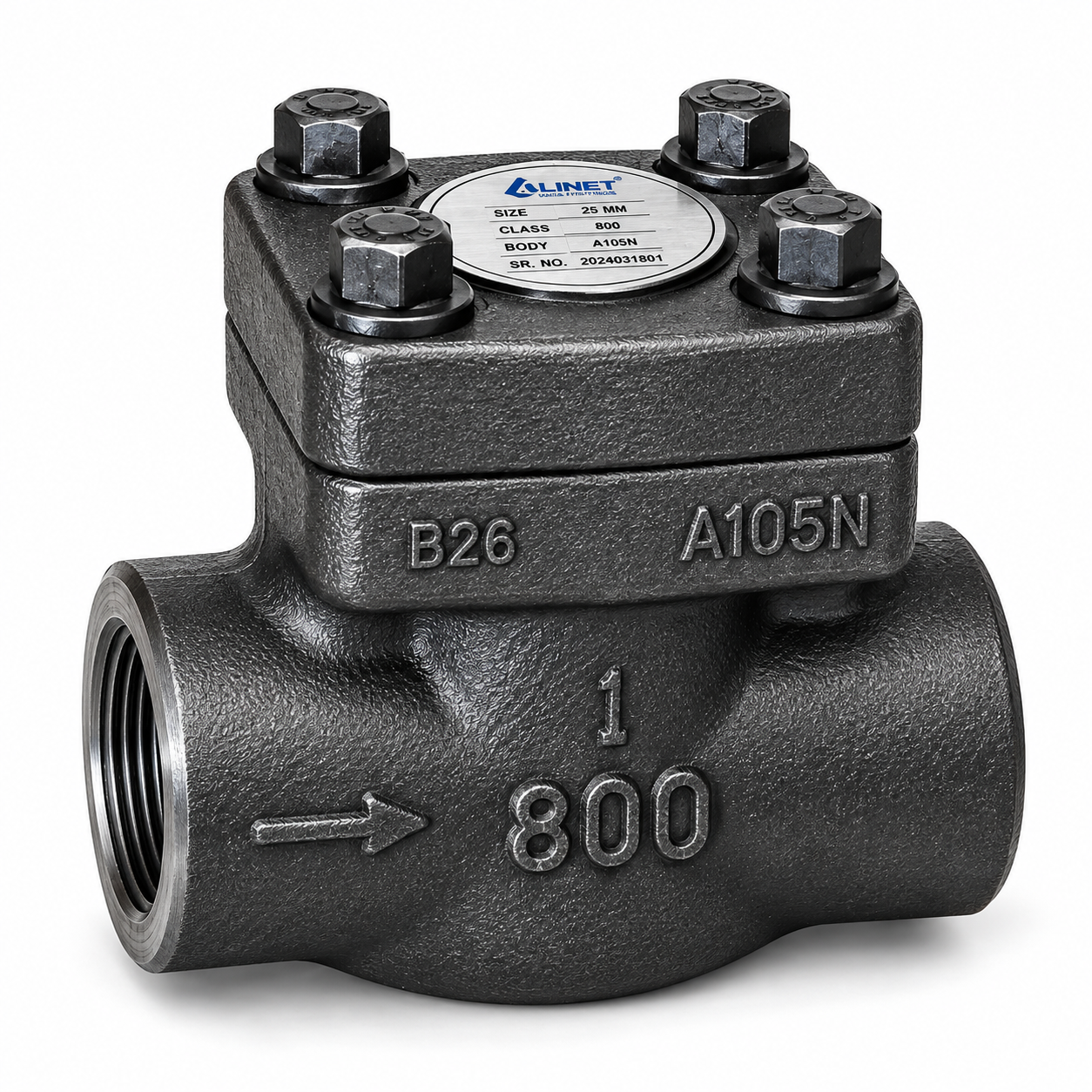 FORGED CHECK VALVE